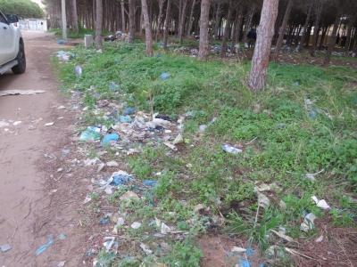 قامت بلدية رأس الجبل بالشراكة مع ادارة الغابات بالتدخل لمدة 3 ايام لتنظيف الغابة الكائنة ببئر زعرور